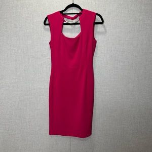 BCBG Pink Women’s Dress